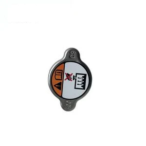 CAP RADIATOR · 253405M000