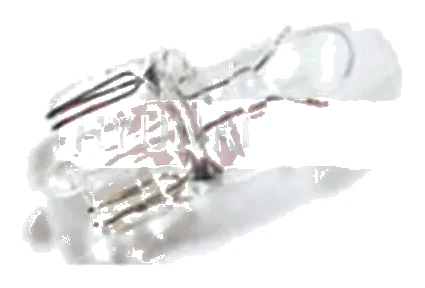 BULB MIDDLE SIZE · 1864310009N