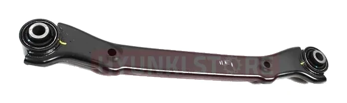 ARM SUSPENSION UPPER · 551003R000